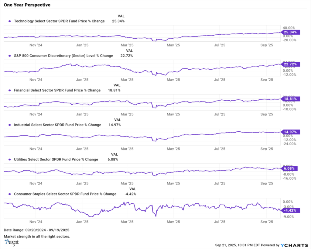 ONE YEAR PERSEPCTIVE GRAPH