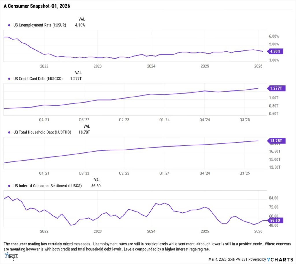 Consumer Snapshot